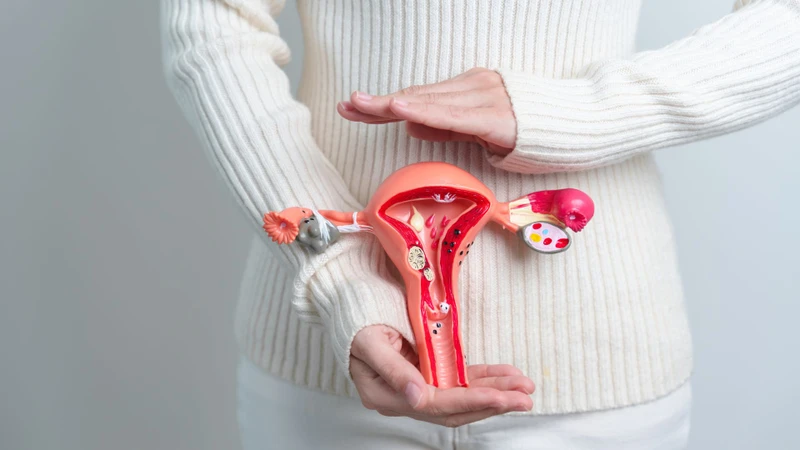 Lối sống điều độ giúp cơ thể hồi phục và duy trì chức năng sinh sản ổn định