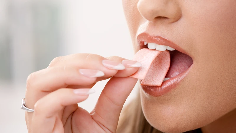 Xương hàm trên giúp truyền lực khi nhai