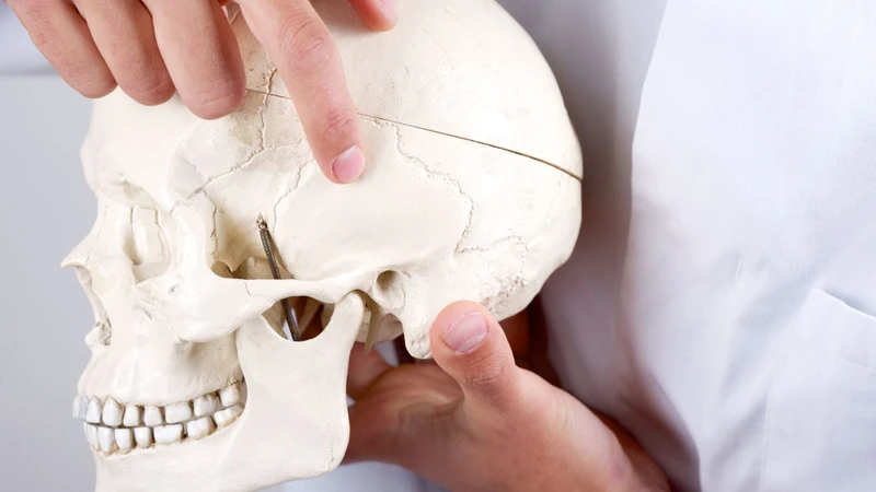 Xương thái dương (temporal bone) là một xương lớn của hộp sọ, nằm ở vùng phía dưới và hai bên sọ