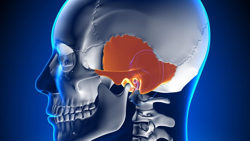 Xương thái dương có hình thể giải phẫu phức tạp, nằm đối xứng ở hai bên