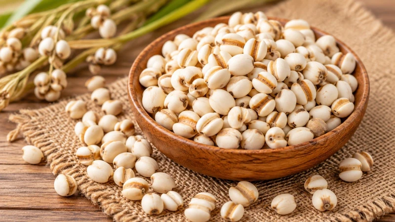 Ý dĩ có thể được chế biến thành cháo, chè, trà hoặc dùng trong bài thuốc