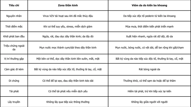 Zona và kiến ba khoang: Những thông tin quan trọng cần biết 2