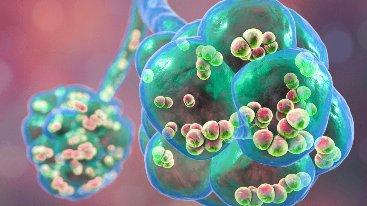 so-sanh-2-vac-xin-phe-cau-pneumo-23-va-prevenar-13 (2).png