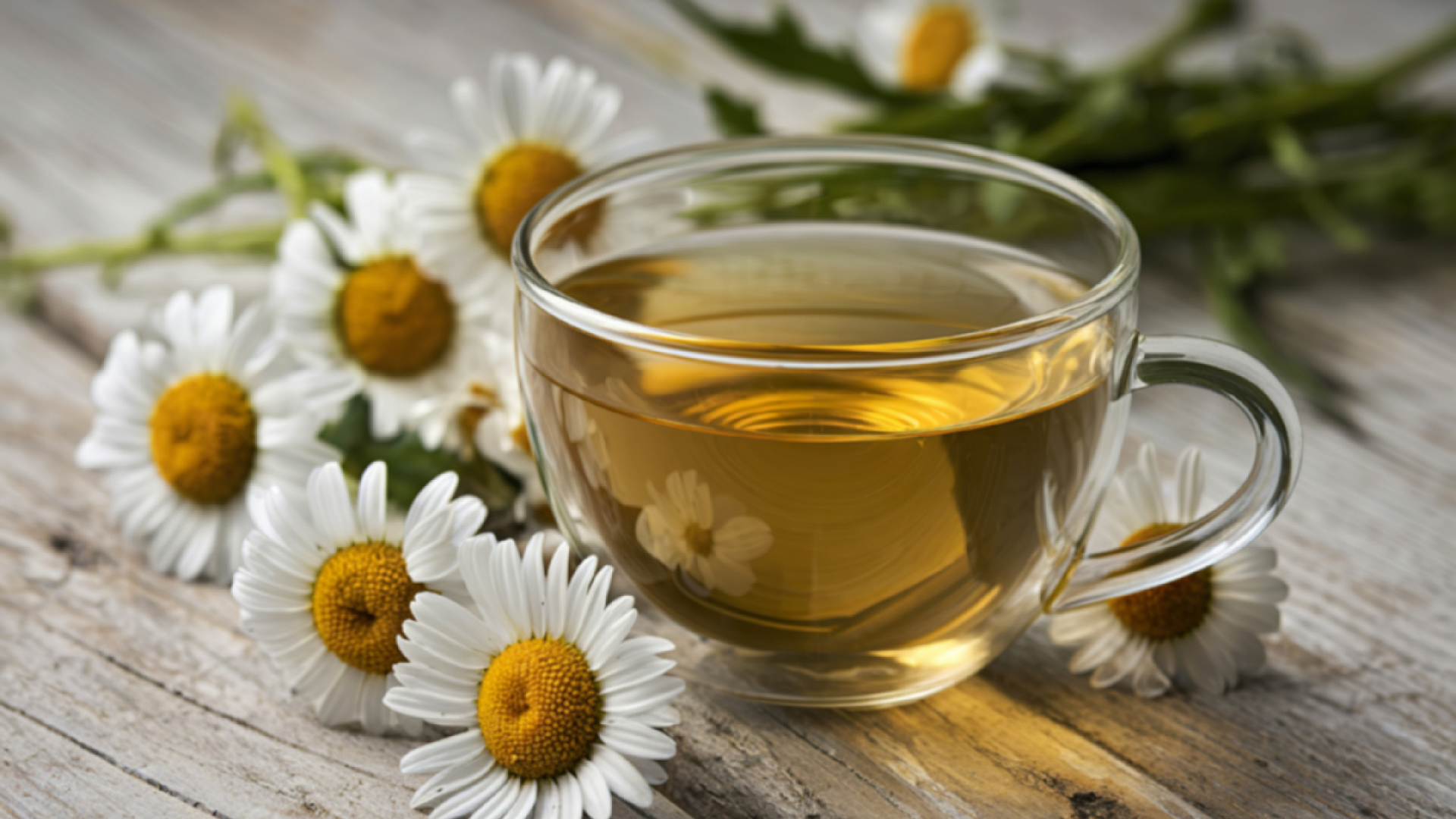 Trà hoa cúc phù hợp với người mất ngủ do stress, lo âu nhẹ hoặc làm việc trí óc nhiều trong ngày