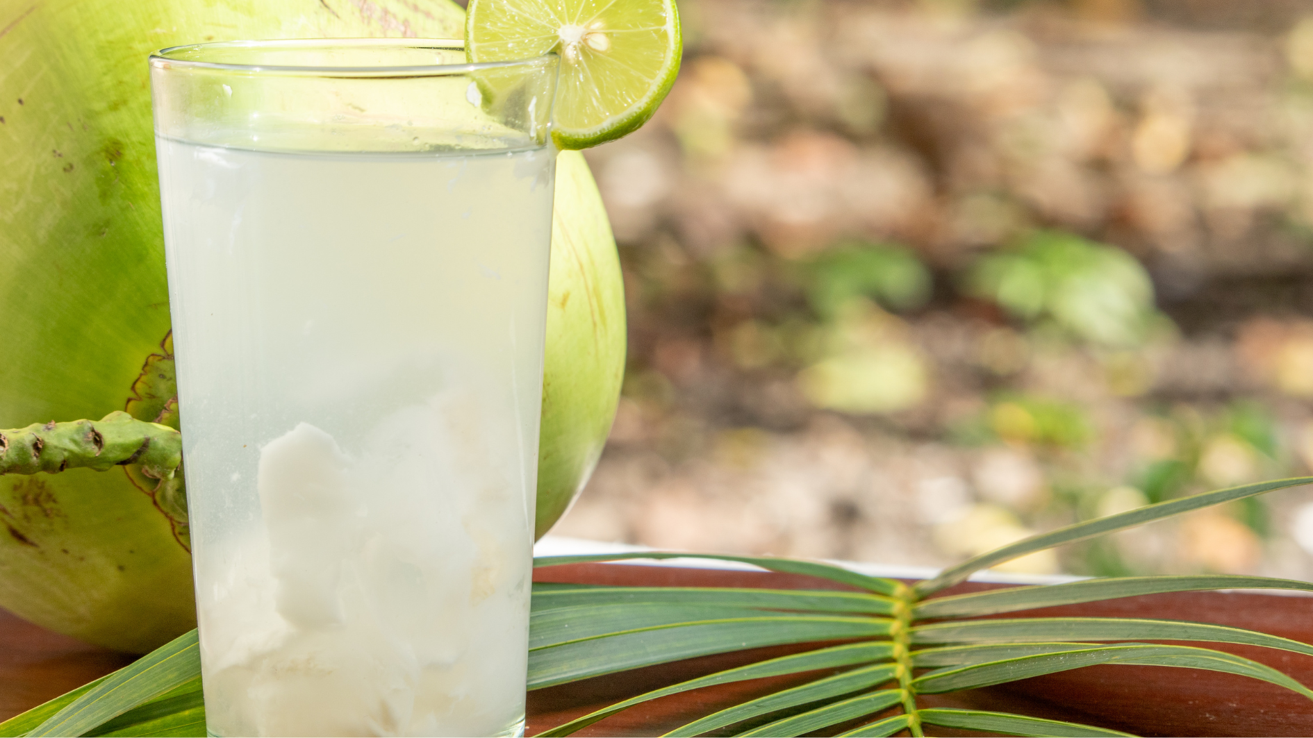 Nên dùng nước dừa trong ngày, không để qua đêm