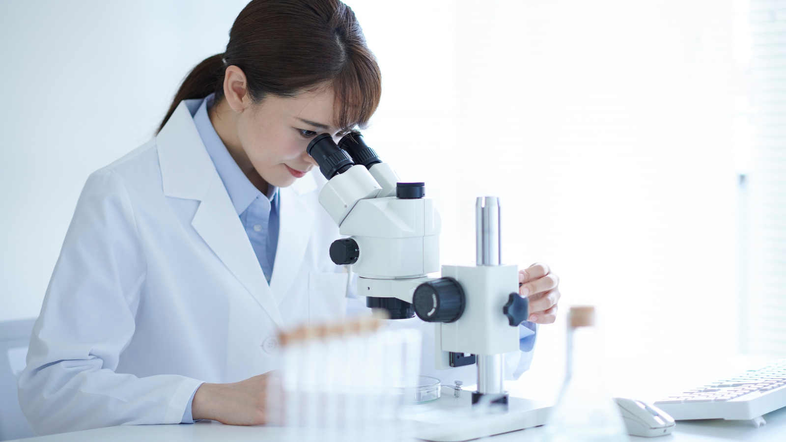 Các nhà khoa học đã thực hiện nhiều thí nghiệm trên chuột nhắt trắng để kiểm tra độc tính