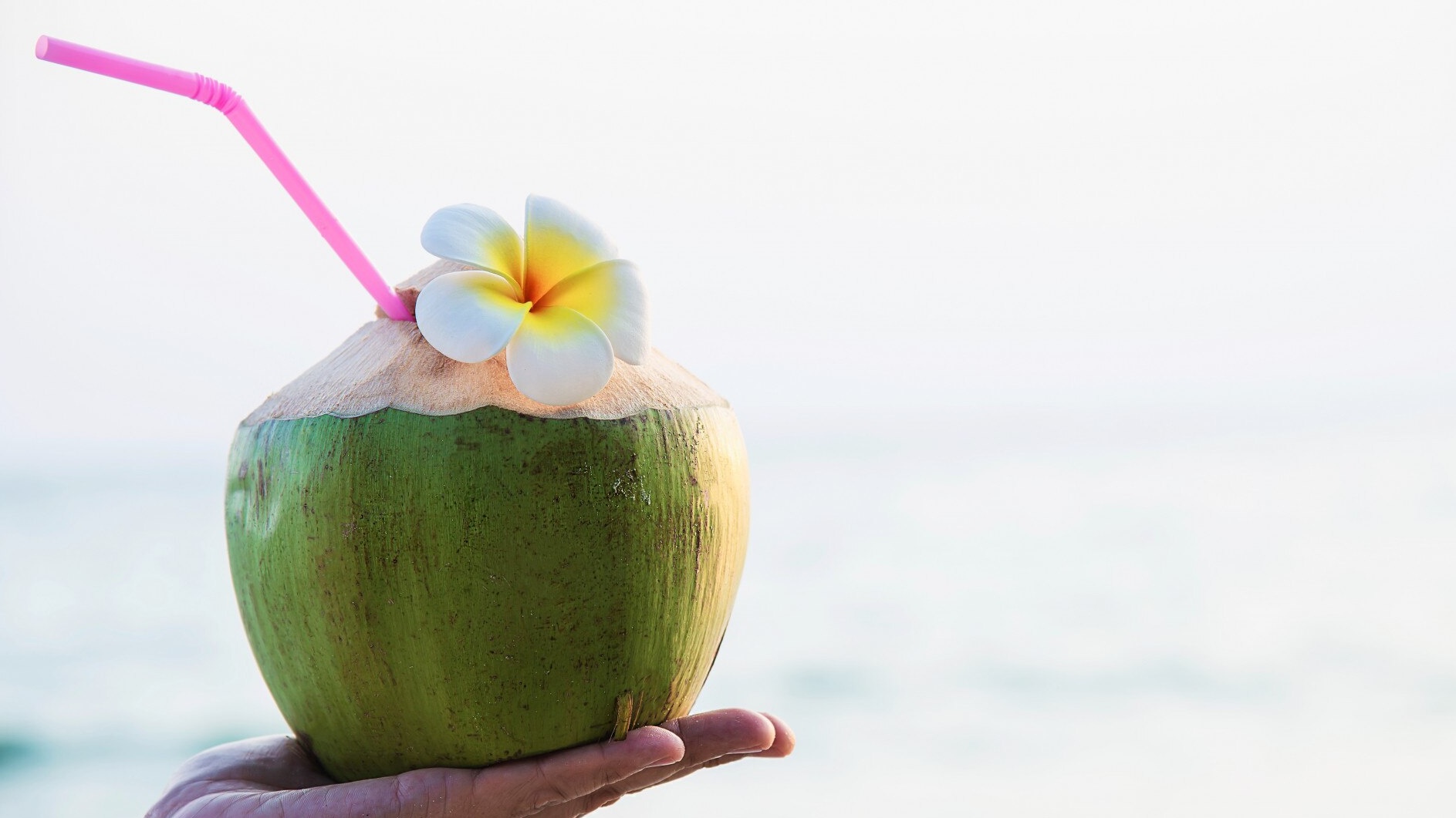 Nước dừa là thức uống lành mạnh nếu được sử dụng với liều lượng hợp lý