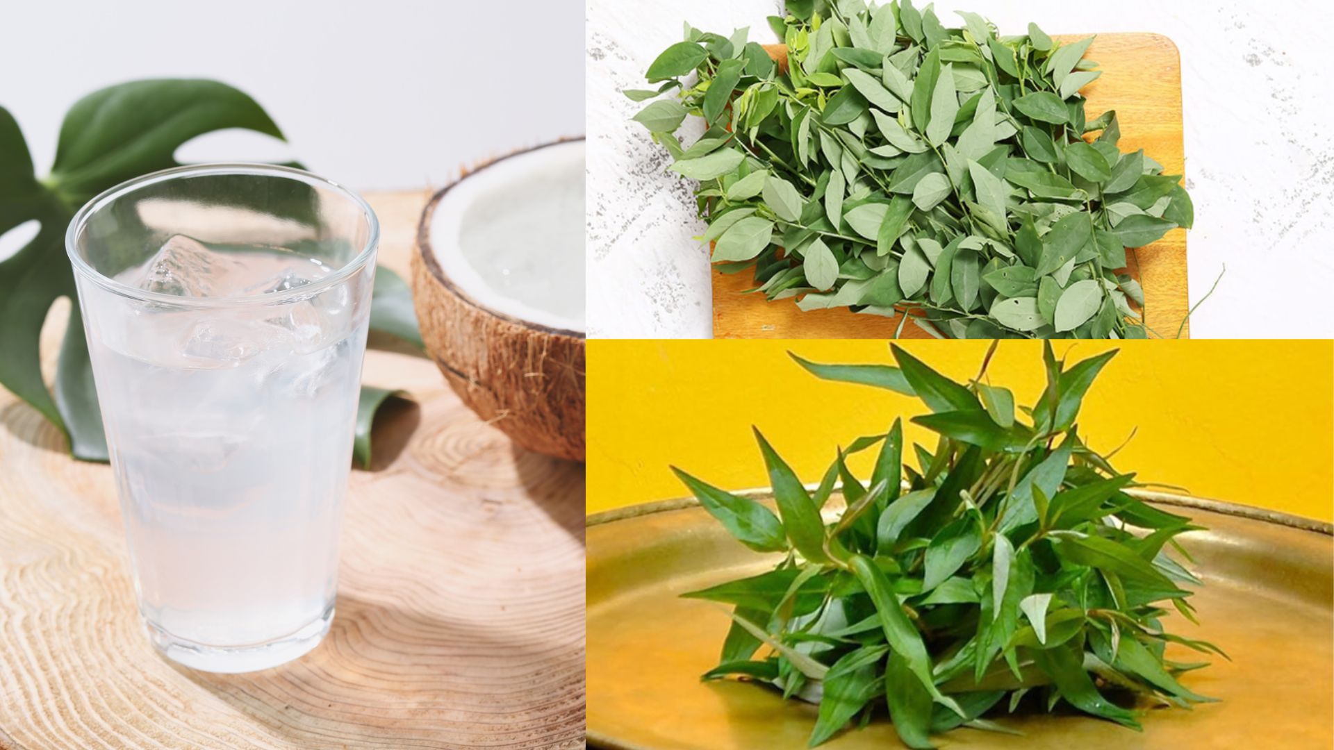 Uống nước dừa có tránh thai không? Lời giải đáp từ phía chuyên gia 2