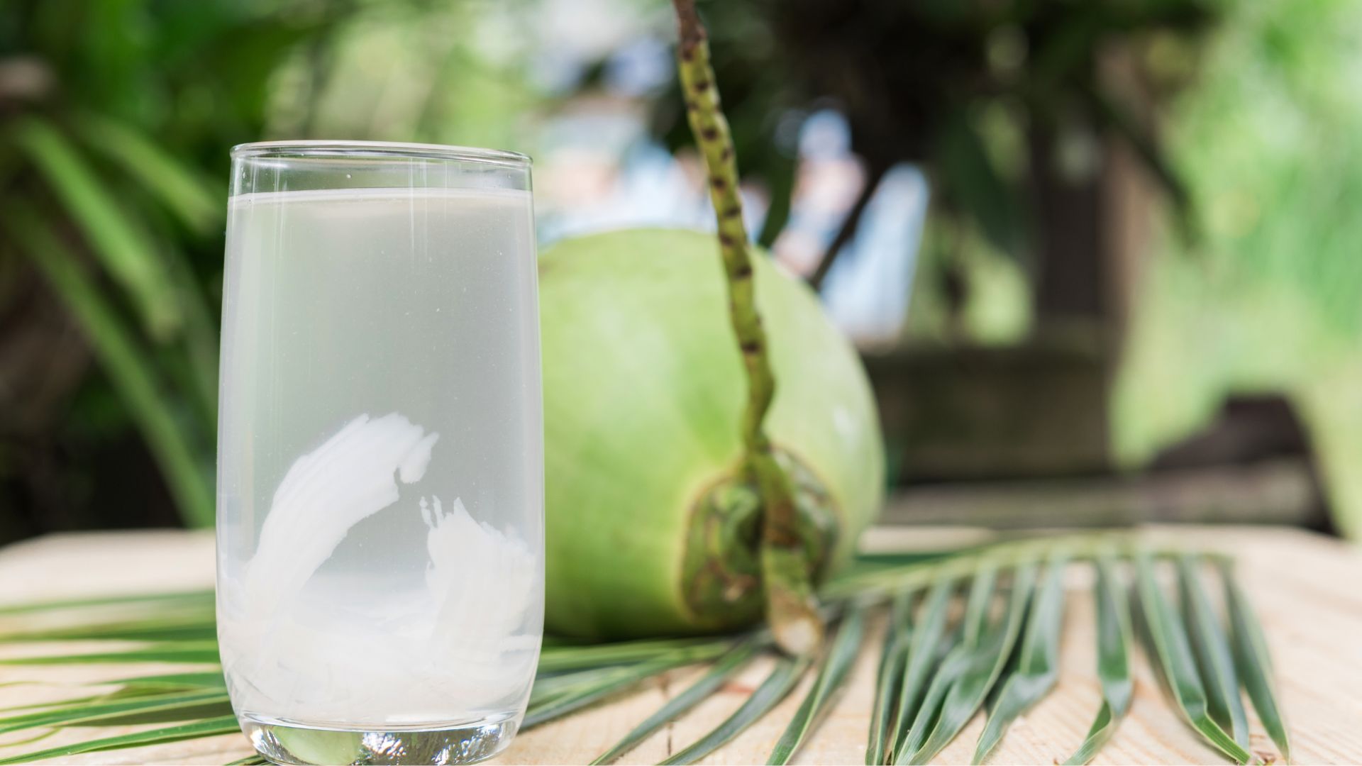 Uống nước dừa có tránh thai không? Lời giải đáp từ phía chuyên gia 3