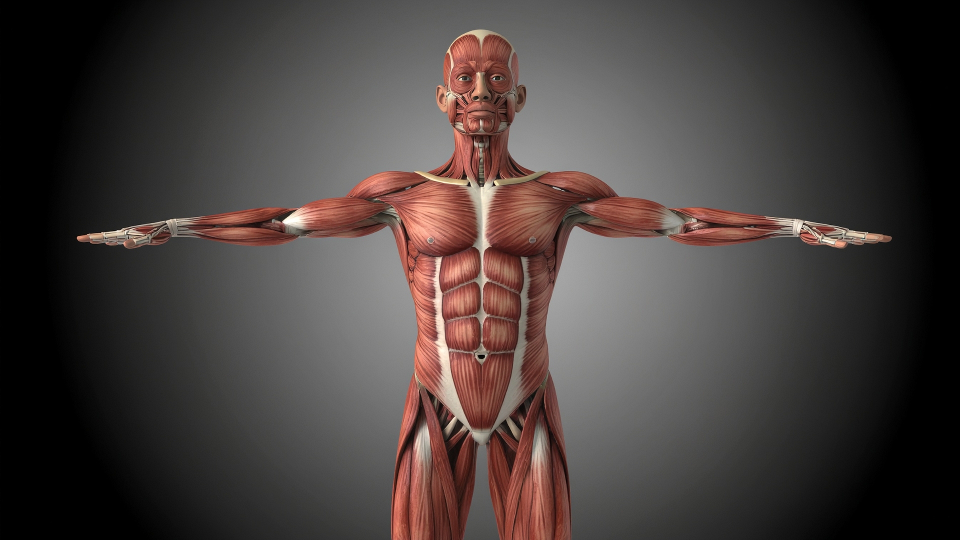 Nước dừa với rau ngót cung cấp vitamin, khoáng chất, nước, giúp hỗ trợ chuyển hóa của cơ thể