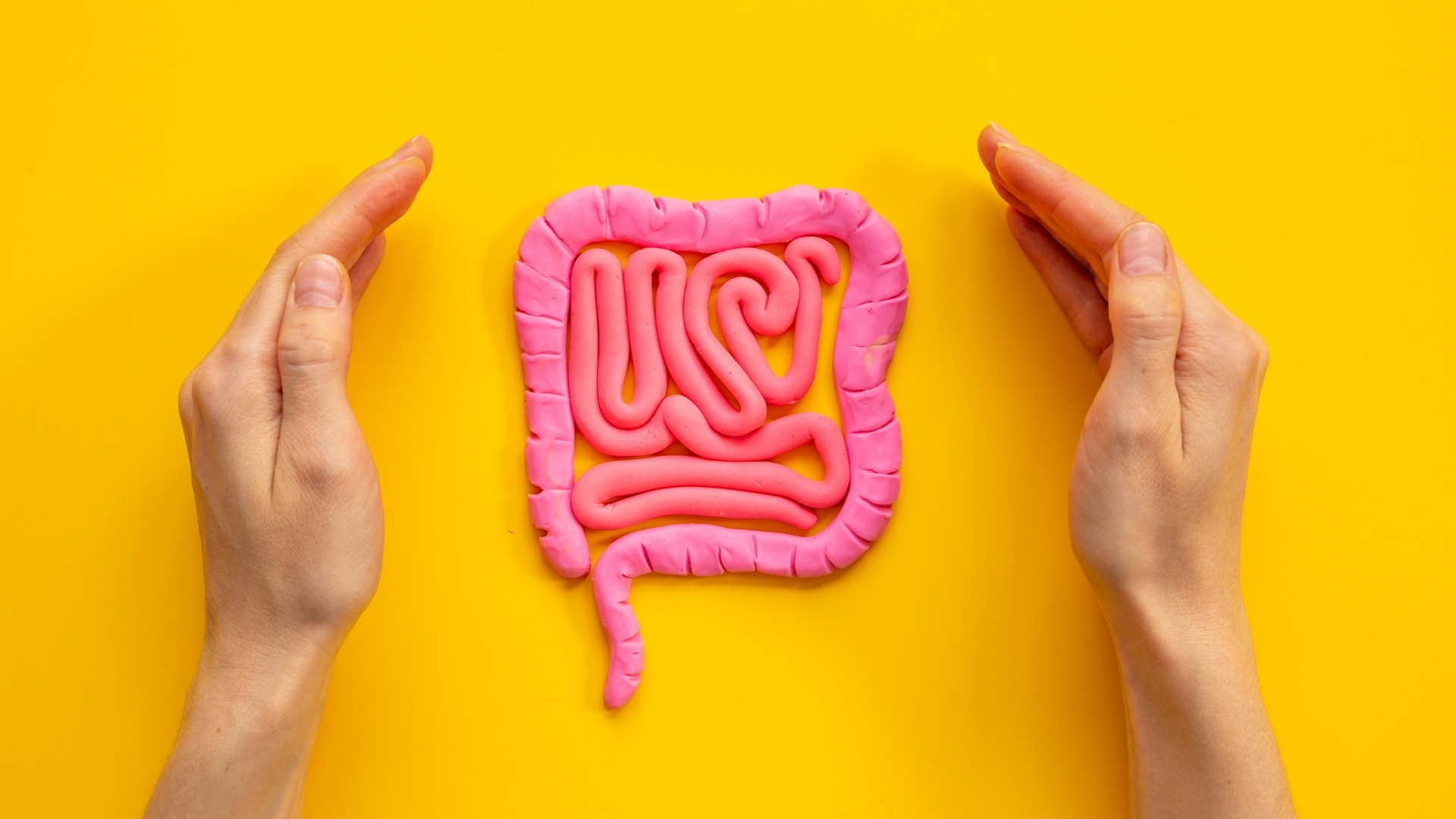 Lá ổi có tác dụng hỗ trợ hoạt động đường tiêu hoá, giúp cơ thể đào thải tốt hơn