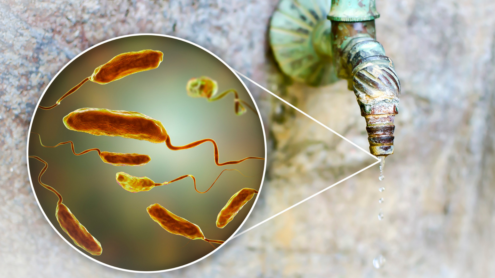 Trẻ uống tả có tác dụng gì trong phòng bệnh tiêu chảy nặng