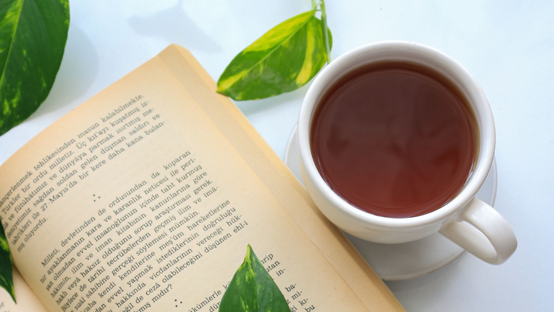 Uống trà dây có mất ngủ không là nỗi băn khoăn của nhiều độc giả