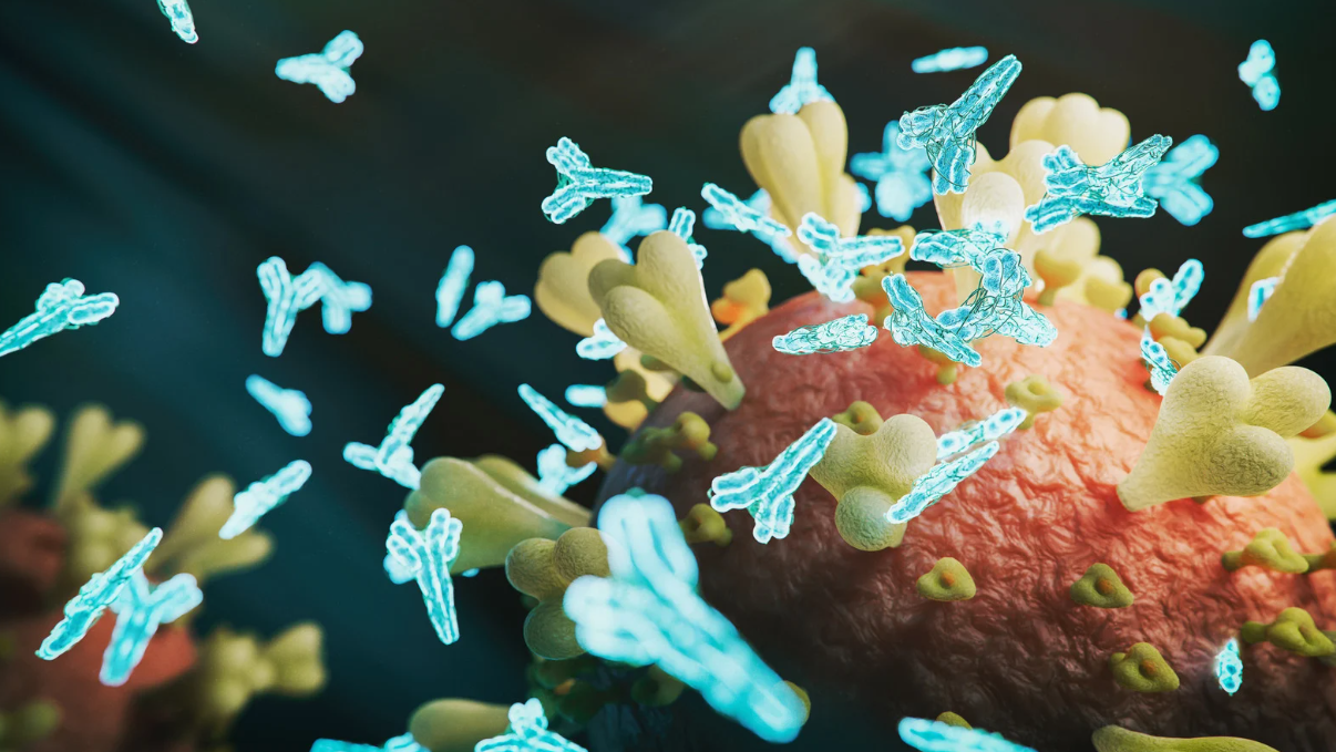 vac-xin-nhay-cam-voi-nhiet-do-cao-anh-huong-va-nguy-co 2.png