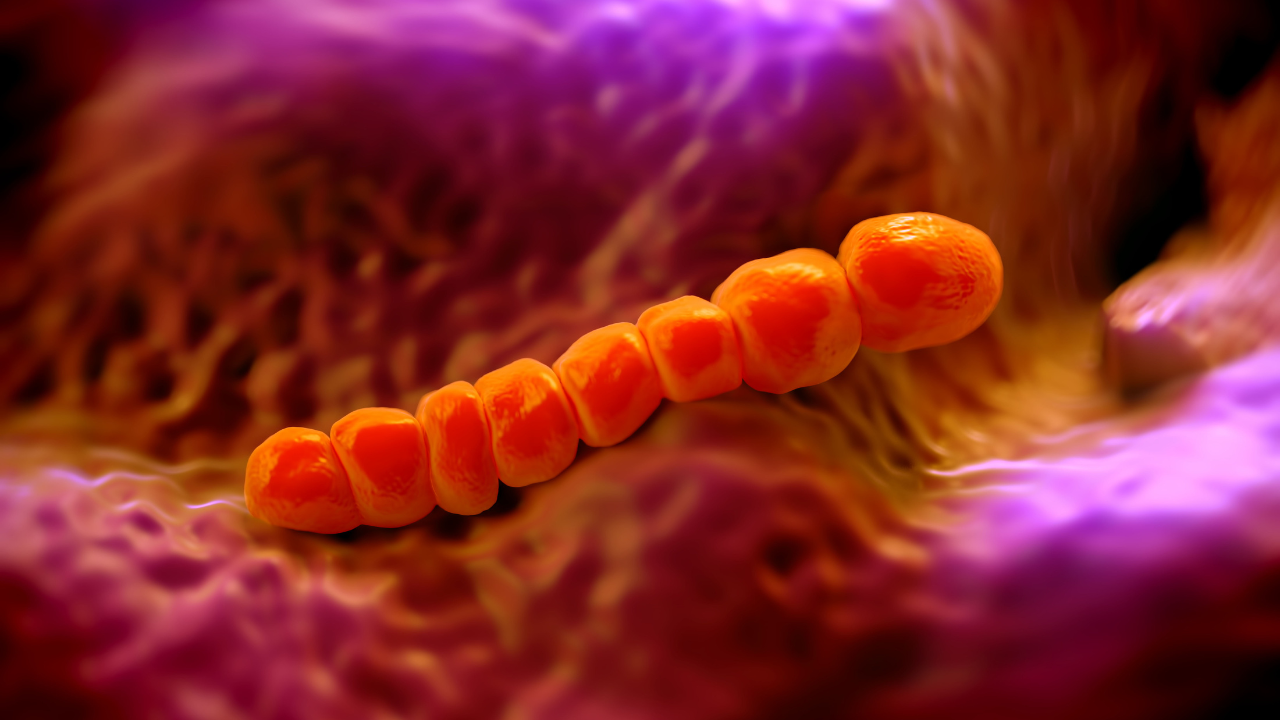 vac-xin-phe-cau-15-va-vac-xin-phe-cau-20-khac-nhau-nhu-the-nao.png
