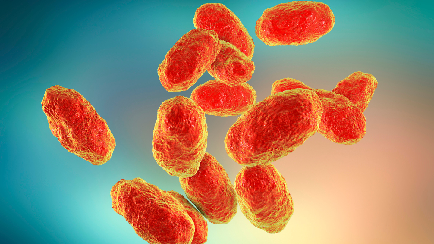 vac-xin-quimi-hib-tiem-may-mui-nhung-luu-y-cha-me-can-biet-khi-tiem-chung-cho-con 1.png