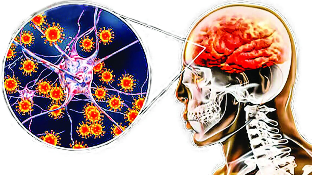 vac-xin-viem-nao-nhat-ban-tiem-may-mui (2).png