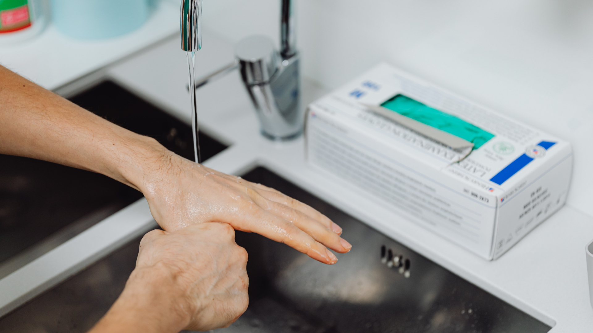 Vết rận mèo cắn là vấn đề không thể xem nhẹ