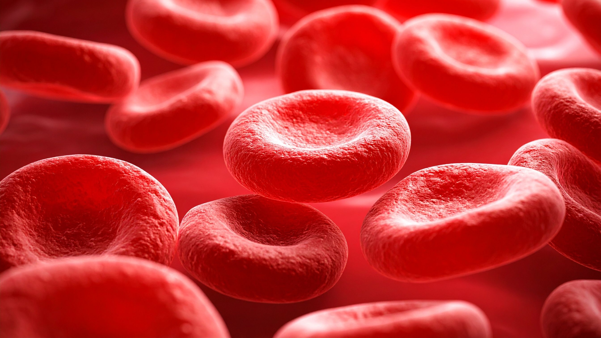 Nhiễm vi khuẩn sốt ve mò thể nặng có thể gây rối loạn đông máu