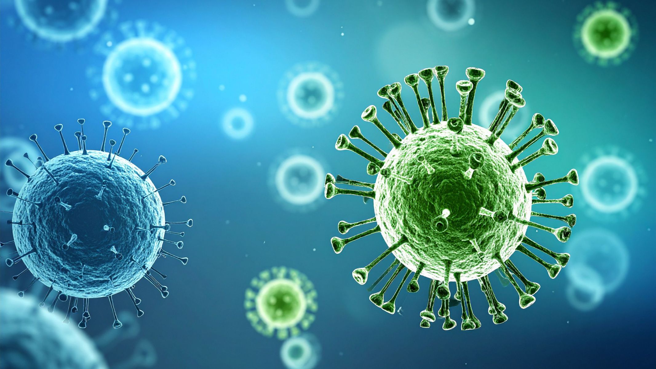 Vì sao đến nay vẫn chưa có vaccine virus Nipah?