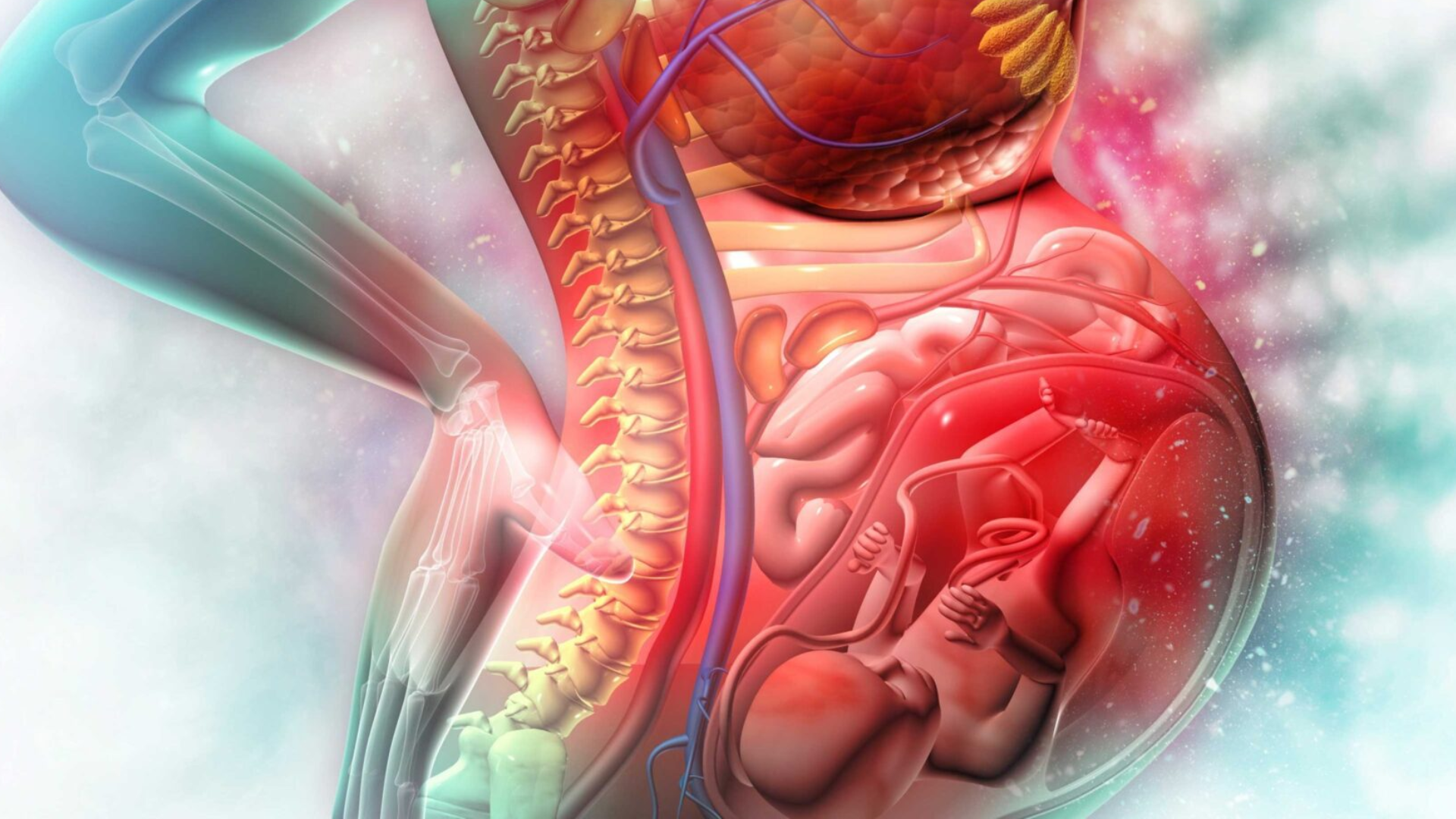 Mỗi vị trí bánh nhau thai có ý nghĩa và mức độ ảnh hưởng khác nhau đối với mẹ và thai nhi