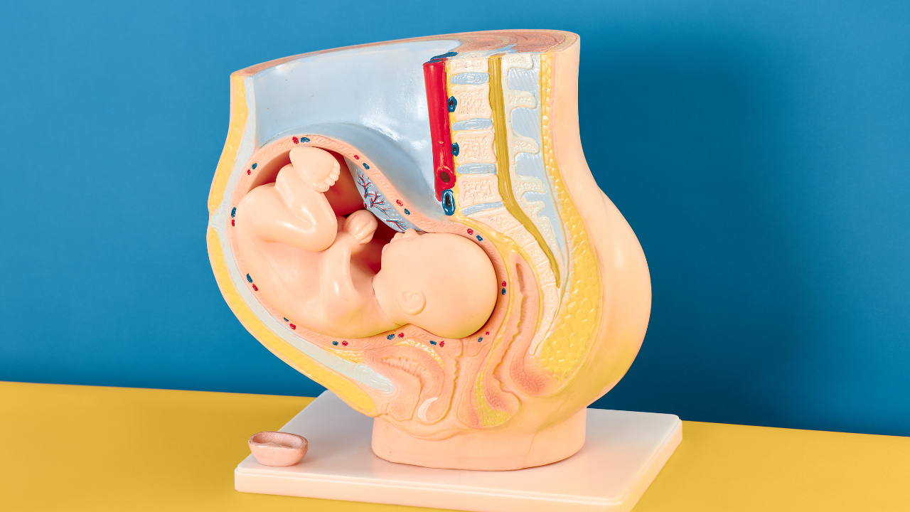 Các vị trí ngôi thai đầu là ngôi thuận là vị trí lý tưởng và dễ sinh nhất