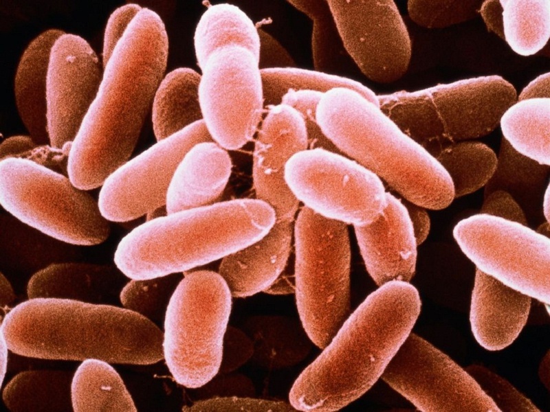 tiem-uon-van-mui-2-cach-mui-1-bao-lau 1