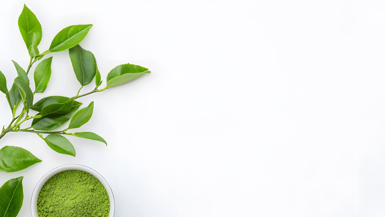 Lá trà xanh chứa nhiều chất chống oxy hóa như catechin và EGCG, có khả năng ức chế vi khuẩn, giảm viêm nhiễm