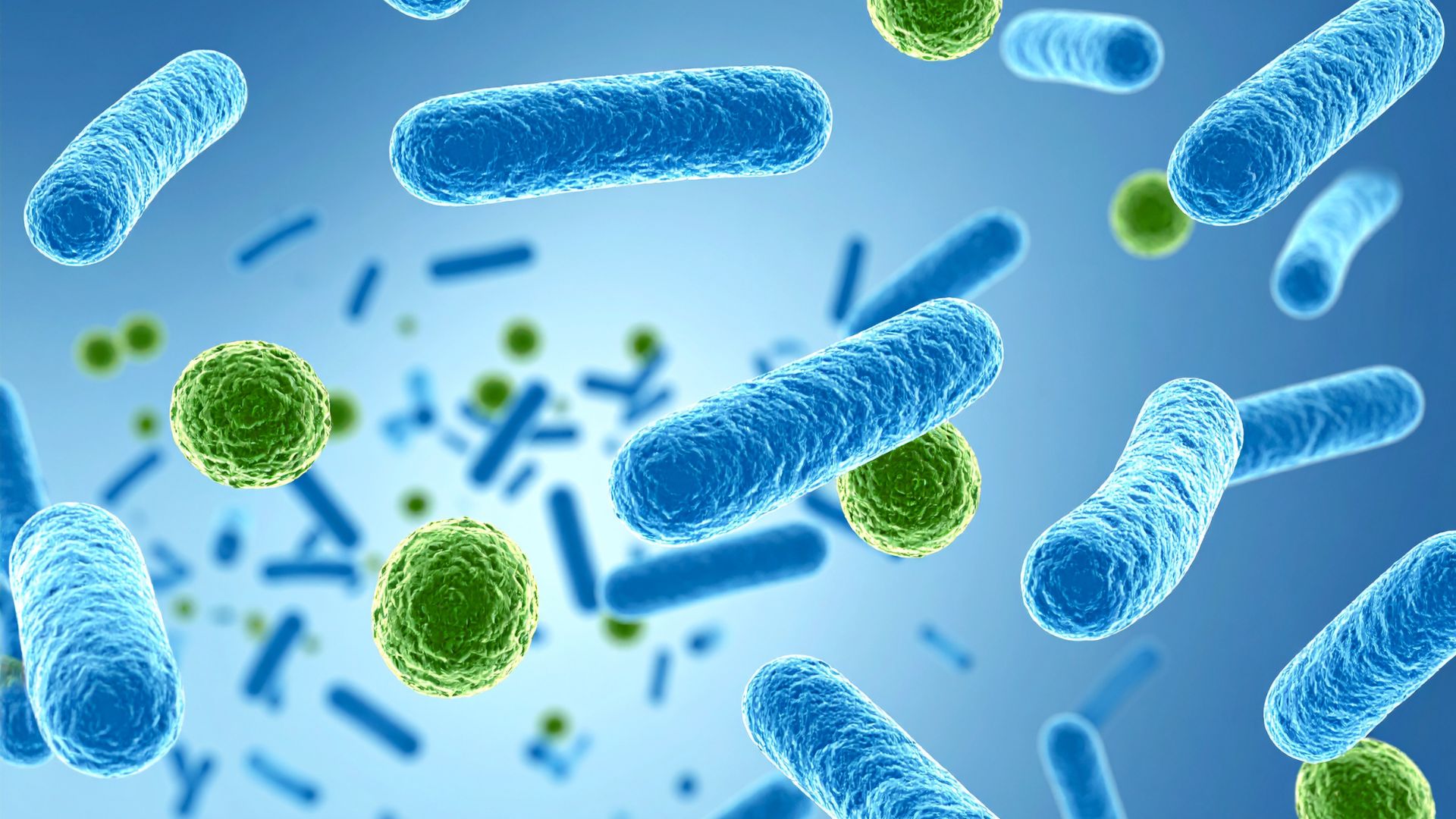 Virus và vi khuẩn là nguyên nhân khiến bệnh amidan hốc mủ trở nặng hơn