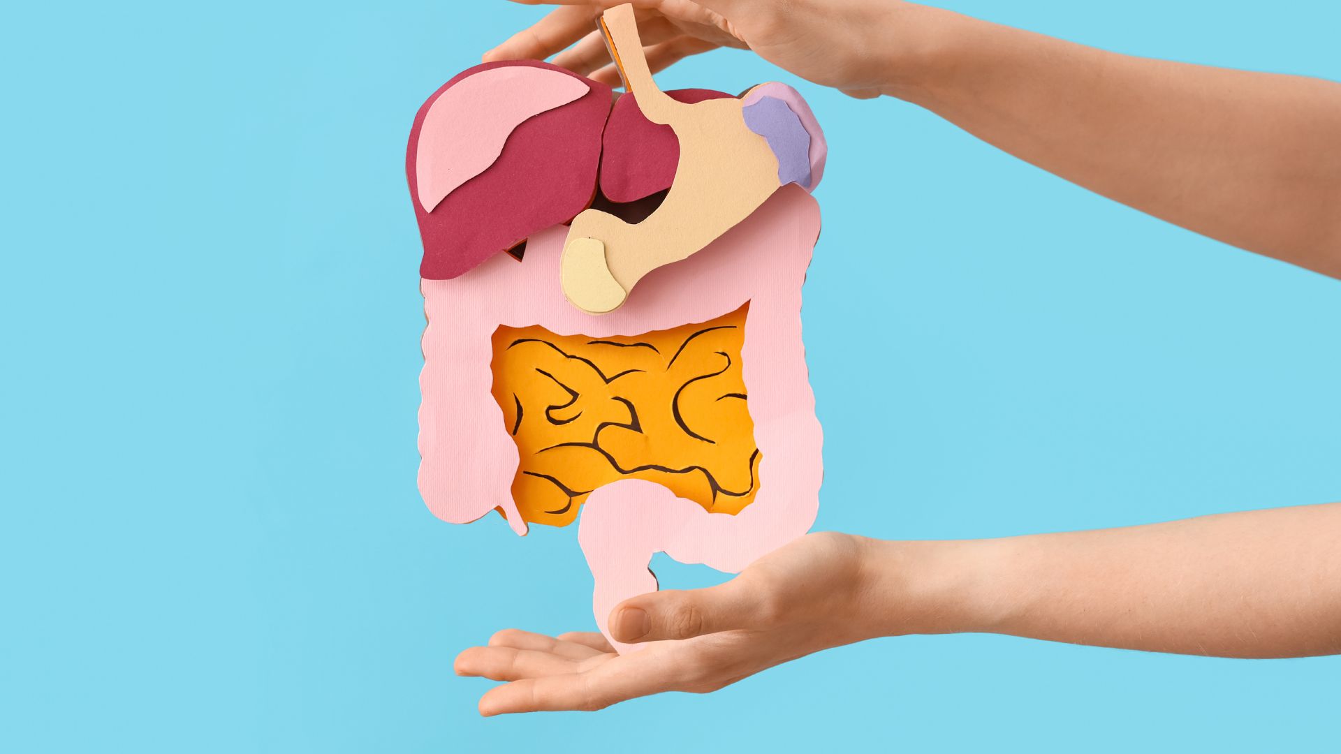 Sữa chua hỗ trợ tiêu hóa và giúp giảm triệu chứng đầy hơi