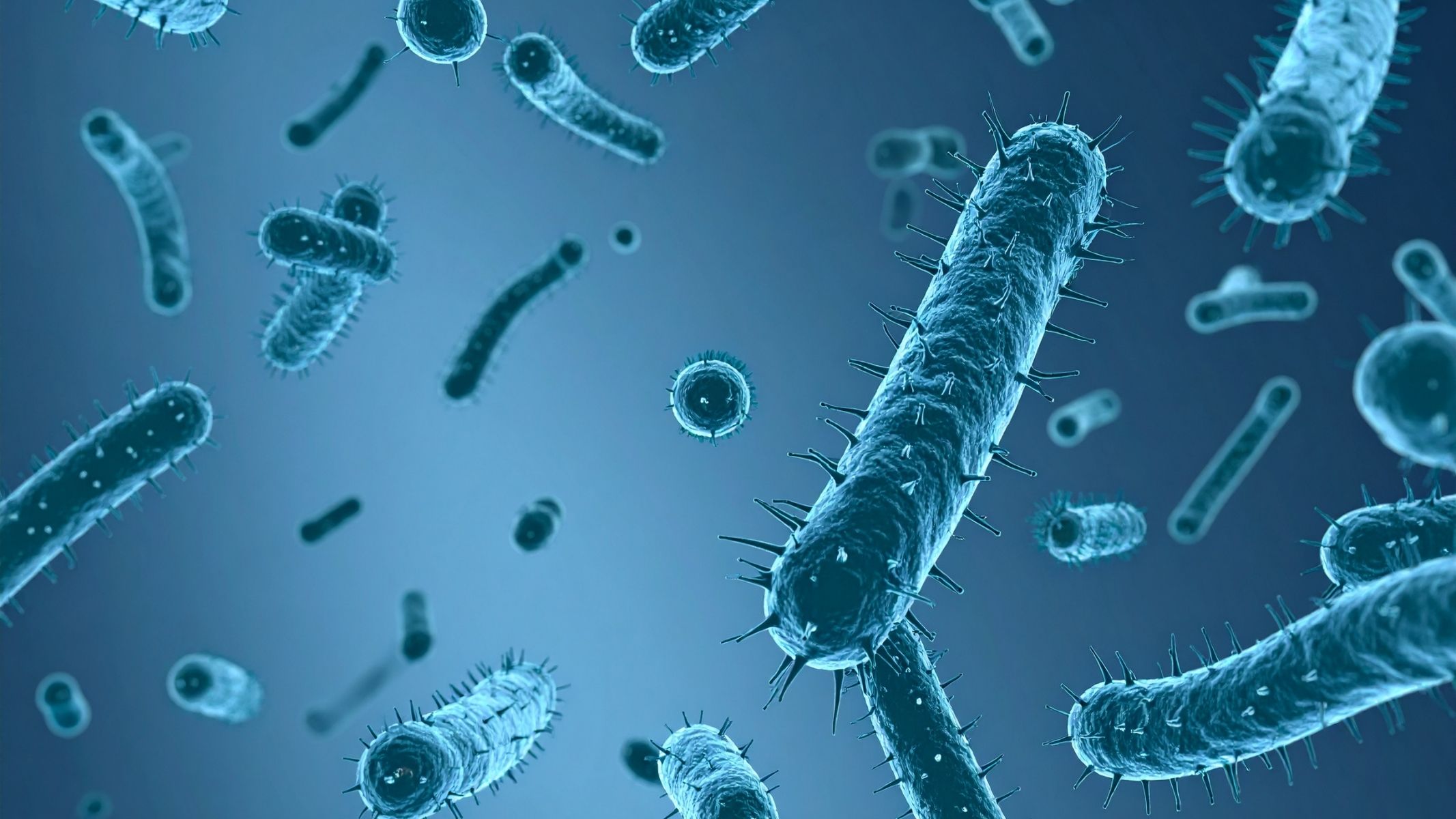 Viêm dạ dày HP dương tính là gì?