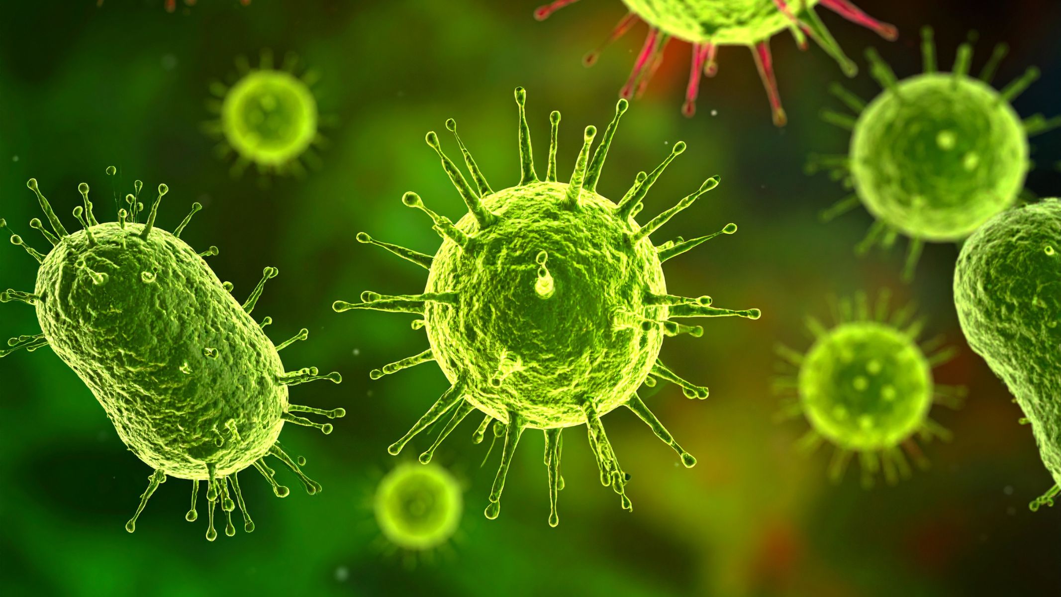 Nhiễm khuẩn Helicobacter pylori (HP) là nguyên nhân phổ biến nhất gây viêm dạ dày ở trẻ