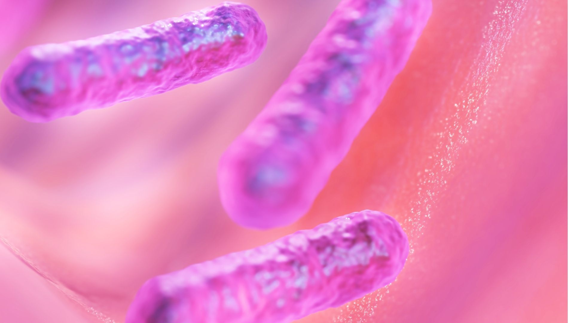 Vi khuẩn Helicobacter pylori là nguyên nhân thường gặp gây viêm dạ dày tá tràng