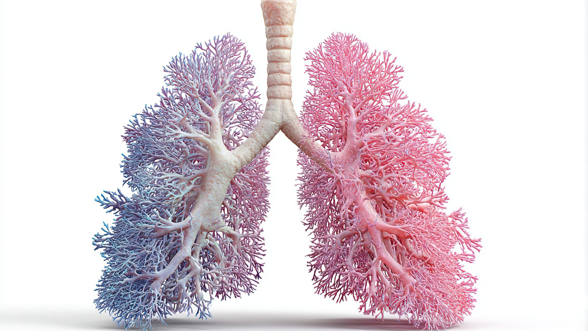 Viêm gan virus B mạn không có tác nhân delta có nguy hiểm không?