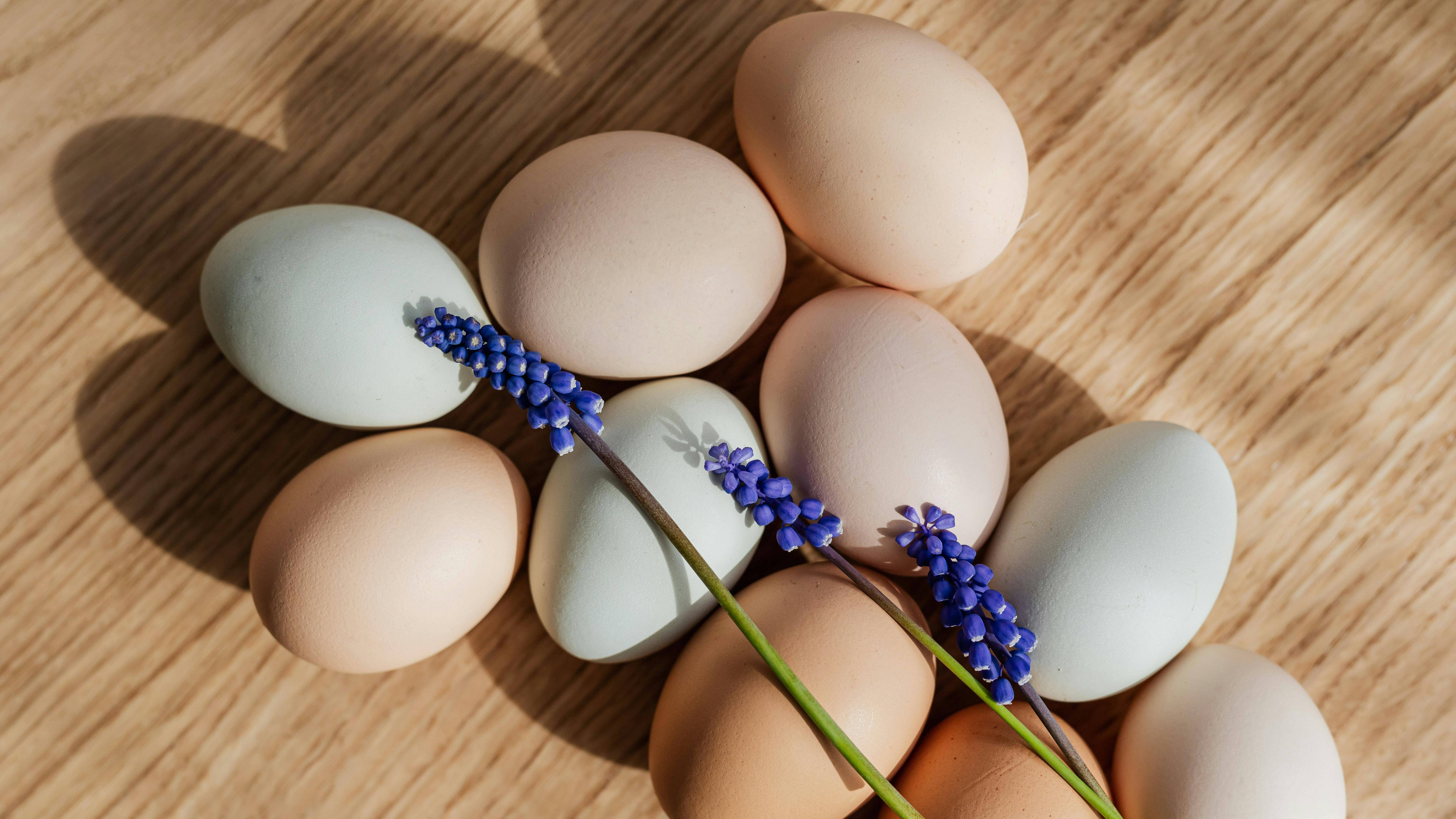 Người bệnh nên bổ sung các thực phẩm giàu canxi như trứng