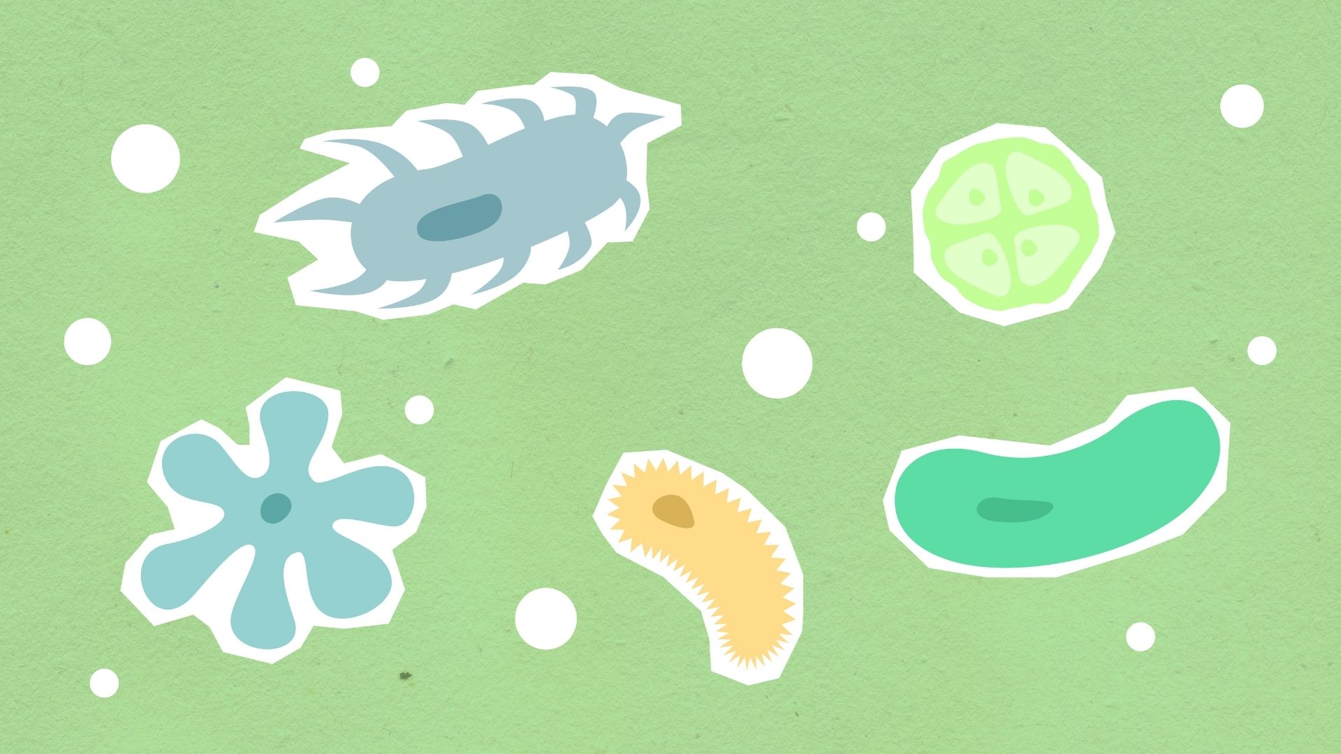 Vi khuẩn là căn nguyên thường gặp gây viêm lưỡi