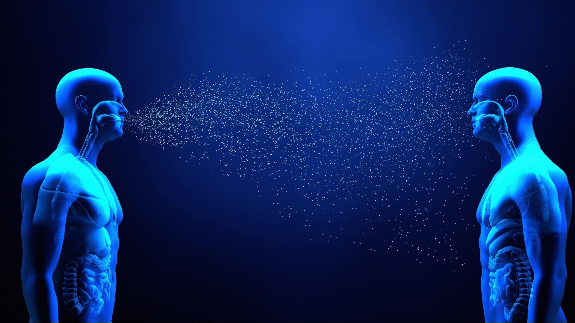 Viêm phổi do tụ cầu Staphylococcus có thể xâm nhập từ đường hô hấp