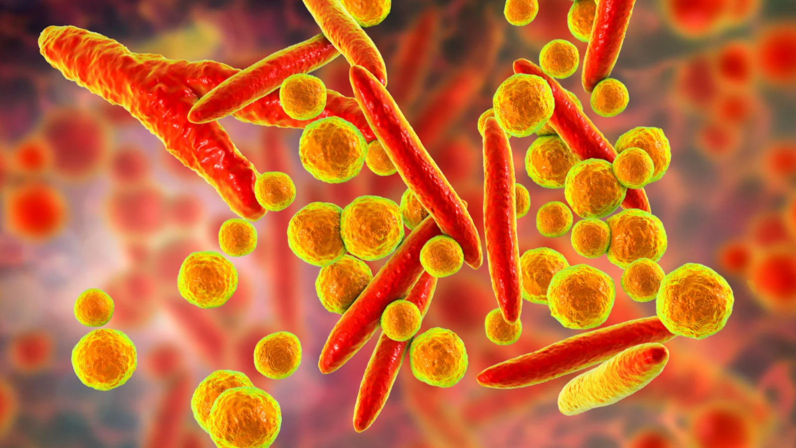 Viêm phổi do virus Mycoplasma: Nhận biết sớm tránh biến chứng 1