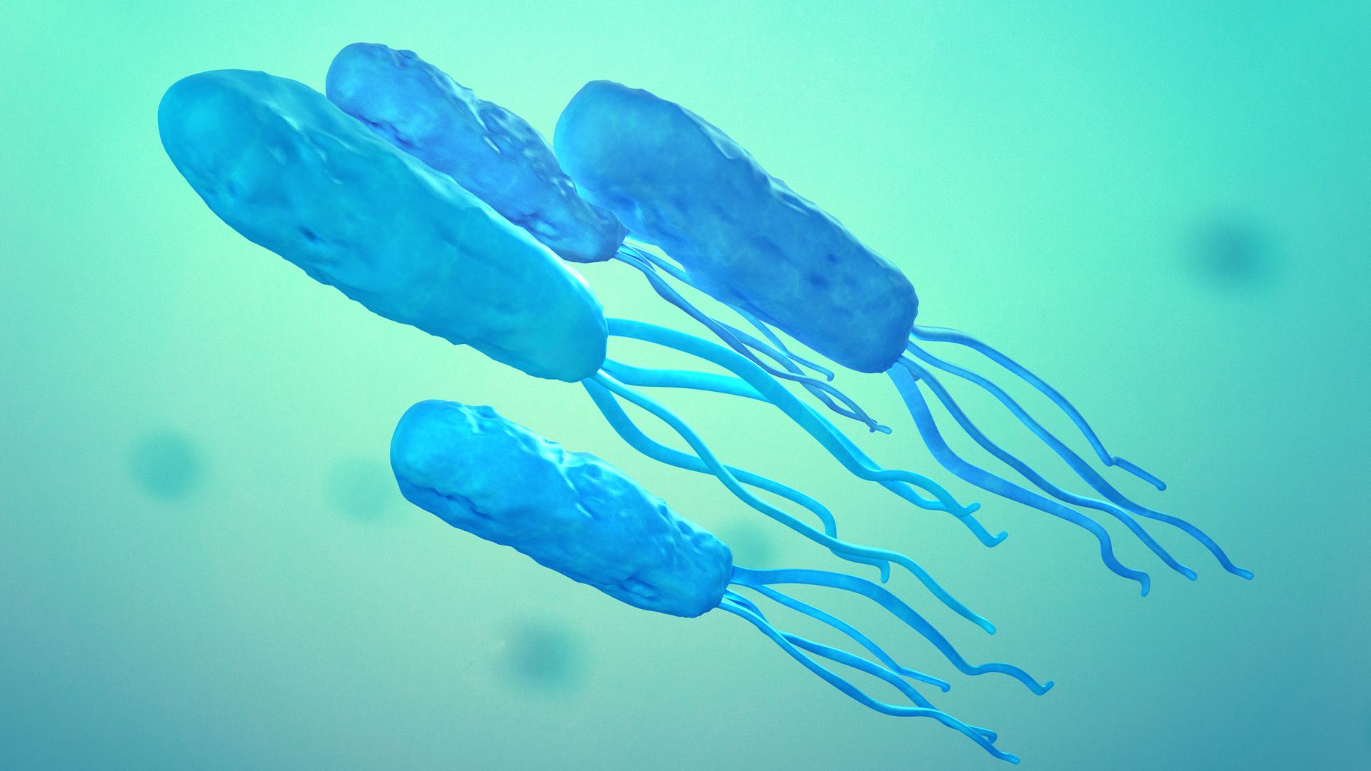 Vi khuẩn Escherichia coli là một nguyên nhân gây viêm tiền liệt tuyến cấp tính