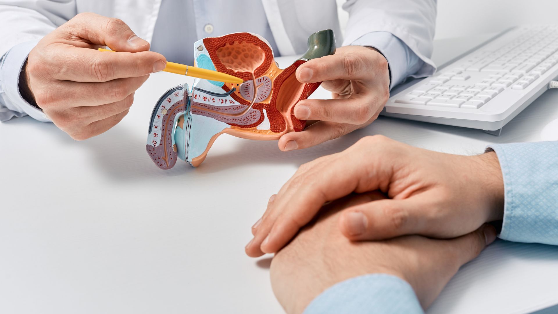 Viêm tuyến tiền liệt có gây vô sinh không