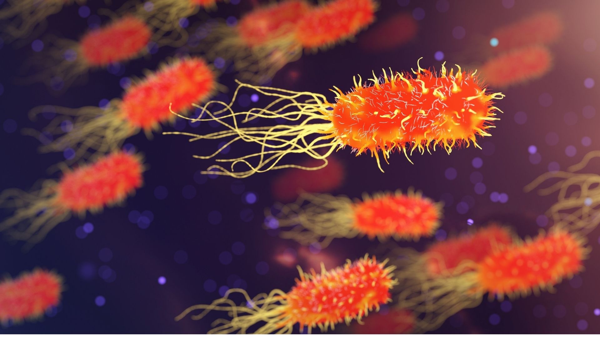 Nhiễm Helicobacter pylori có thể là nguyên nhân gây bệnh