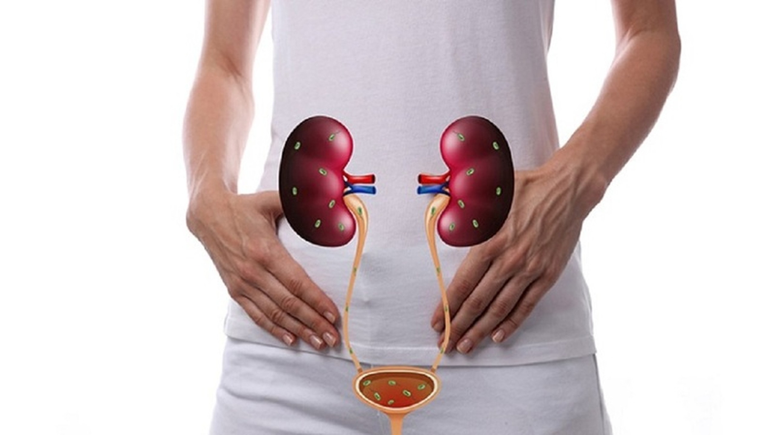 Bổ sung việt quất giúp mở rộng khả năng ngừa viêm đường tiết niệu