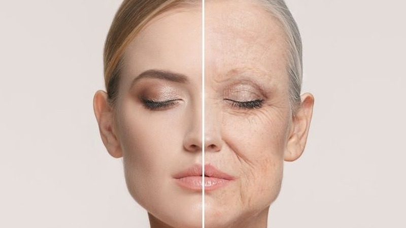 Việt quất giúp làm chậm quá trình lão hoá tự nhiên