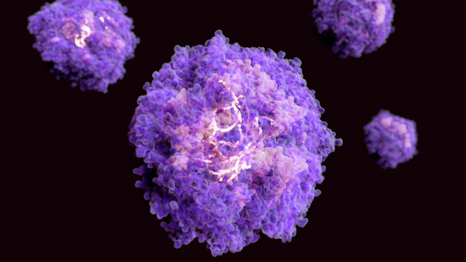 virus-arn-la-gi-cac-vac-xin-phong-chong-virus-arn-1