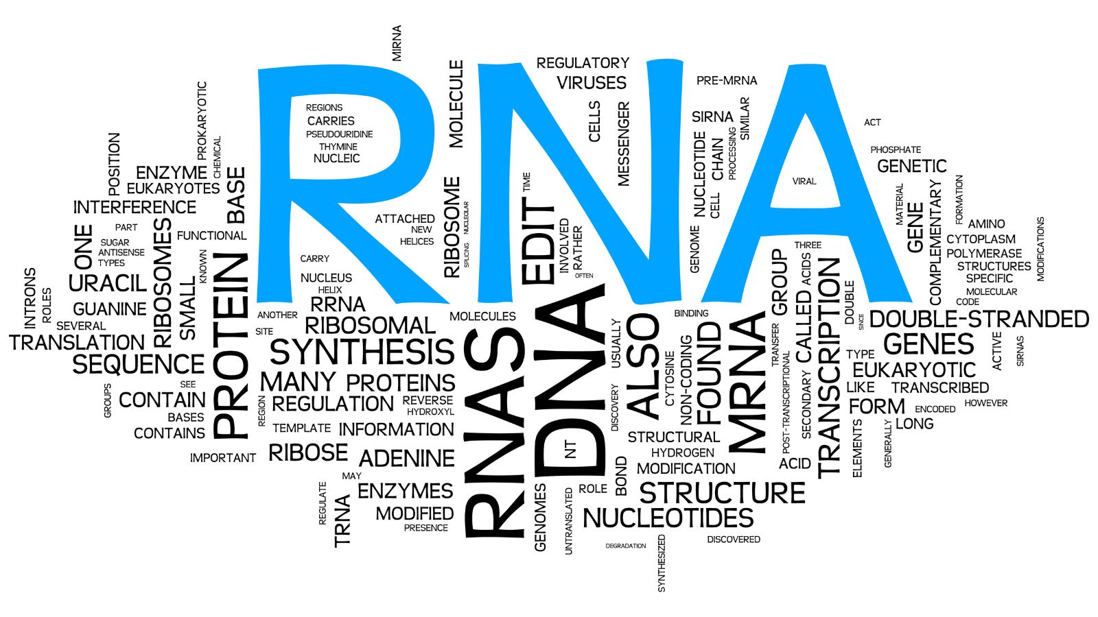 virus-arn-la-gi-cac-vac-xin-phong-chong-virus-arn-2