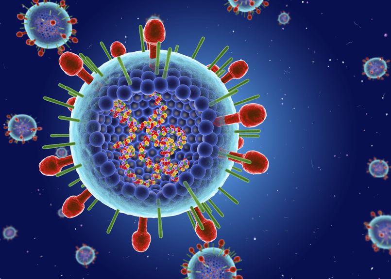 virus-co-lay-cho-nguoi-lon-khong-lam-gi-de-phong-lay-nhiem-rsv 1.jpeg