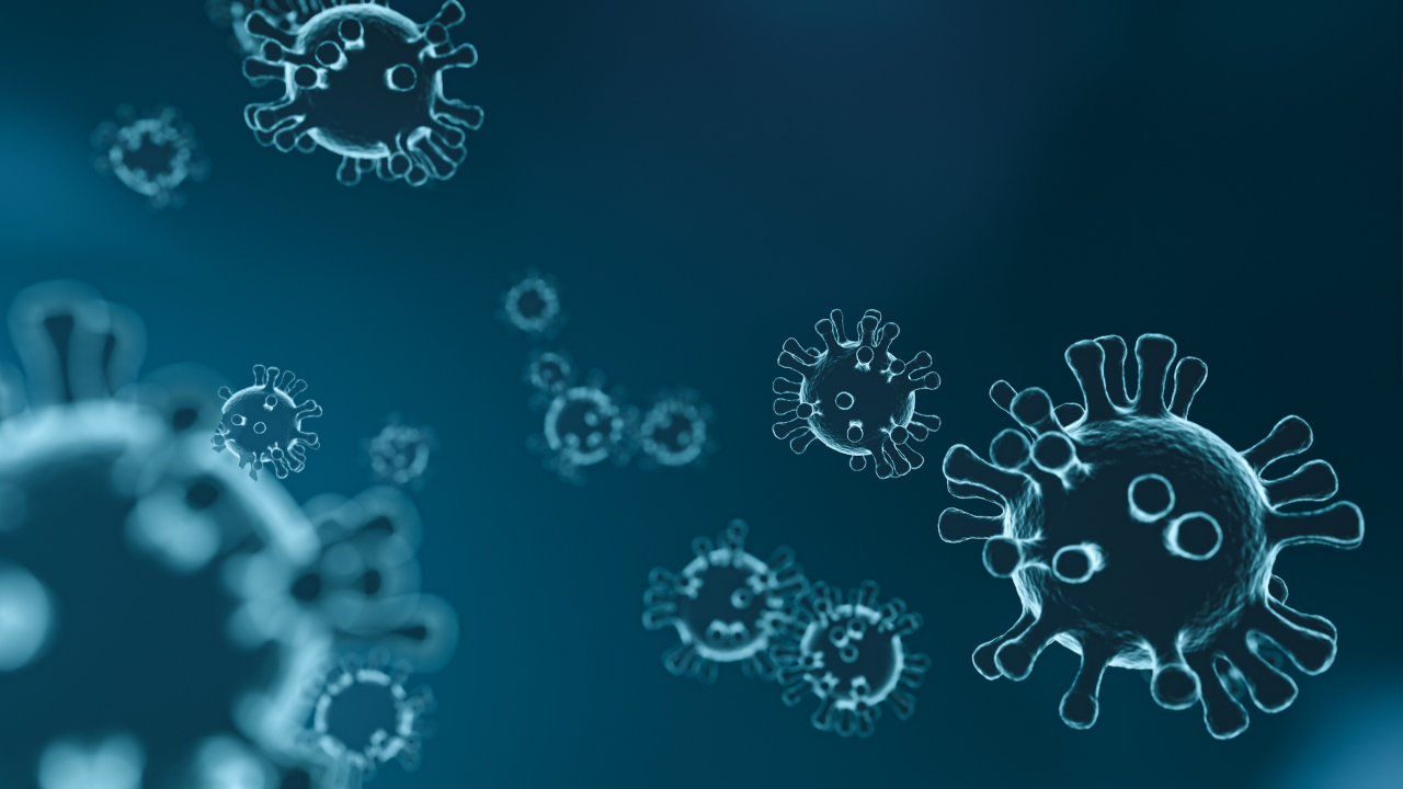 Virus EBV là gì? Virus EBV gây bệnh gì? 4