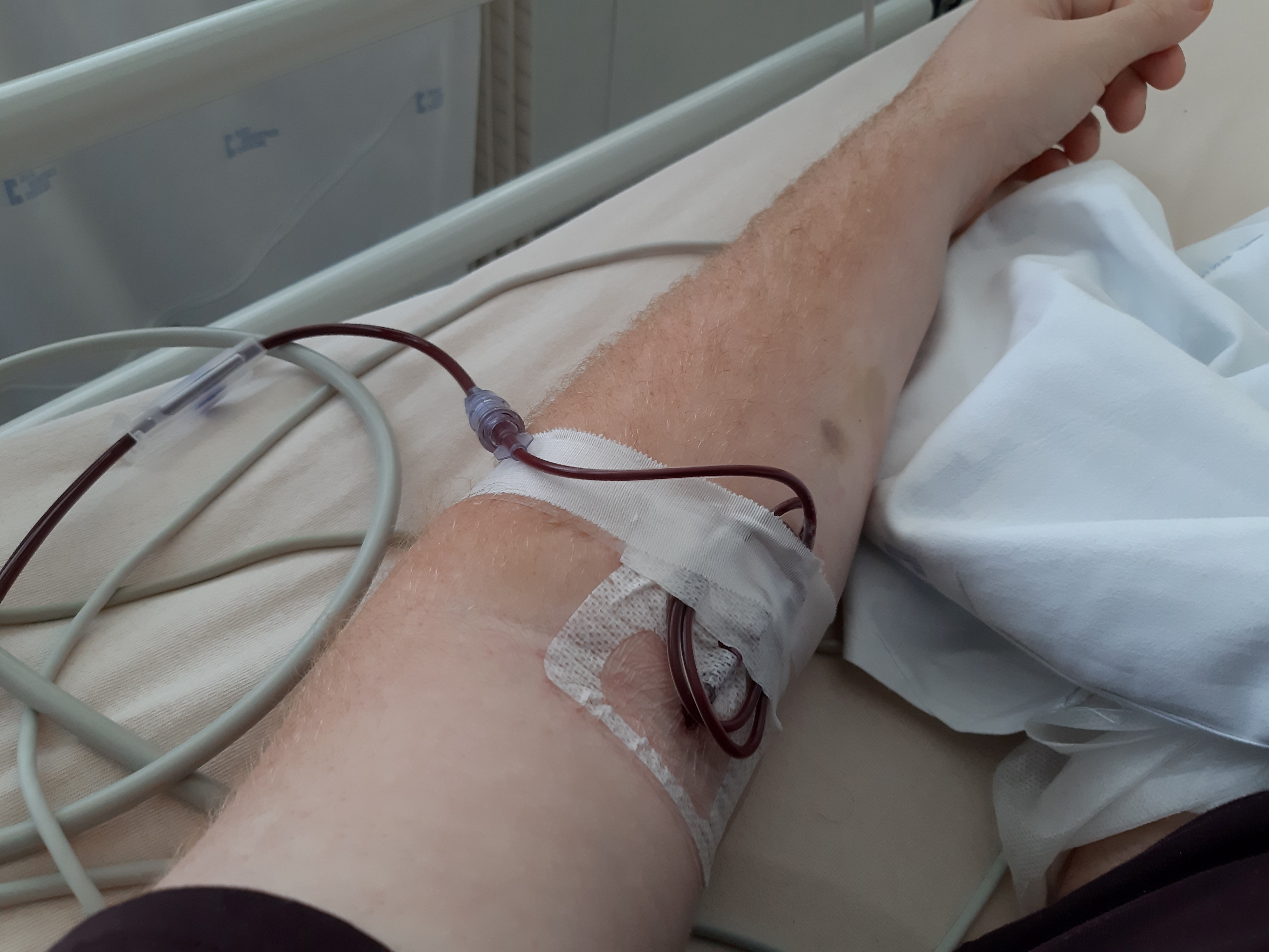 Virus HIV là gì? Cách virus HIV xâm nhập vào cơ thể gây bệnh 3