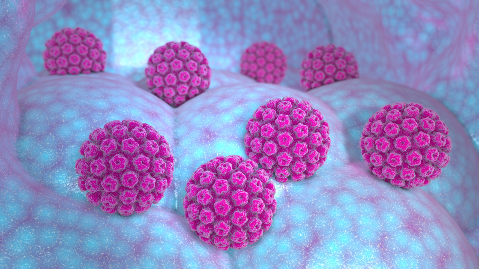virus-hpv-la-gi-dau-hieu-nguyen-nhan-va-cach-phong-ngua-virus-hpv-hieu-qua-4.jpg