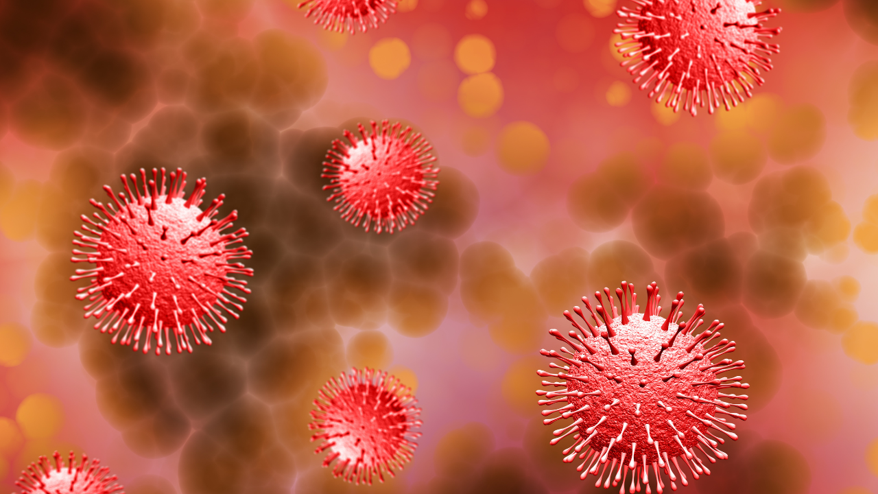 Virus sốt xuất huyết Dengue nguy hiểm như thế nào? 2